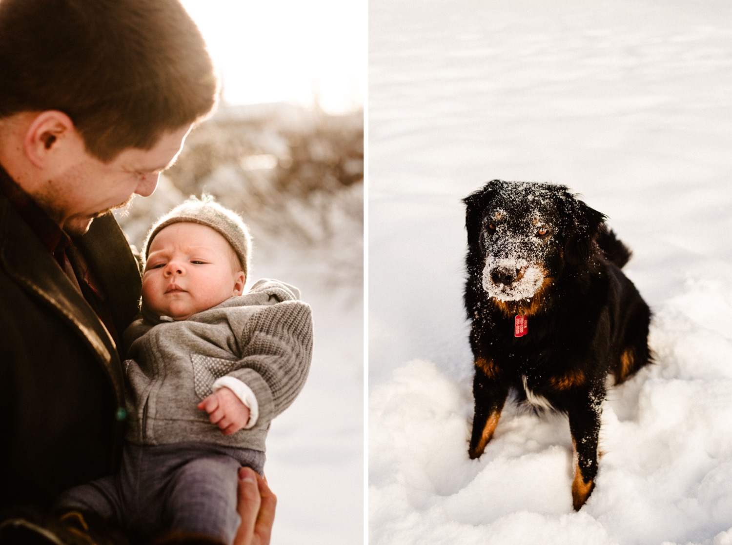 dad baby and dog outside in the snow