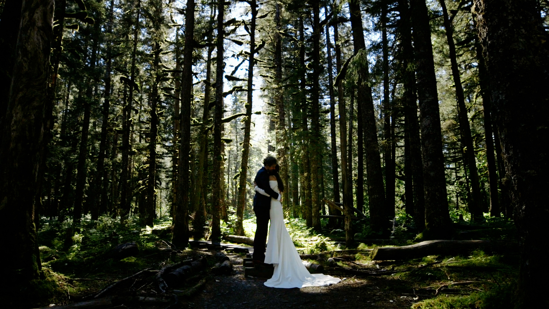 covid elopement at tonsina point